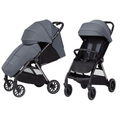 Vežimėlis Carrello Delta CRL-5517 Lava Grey