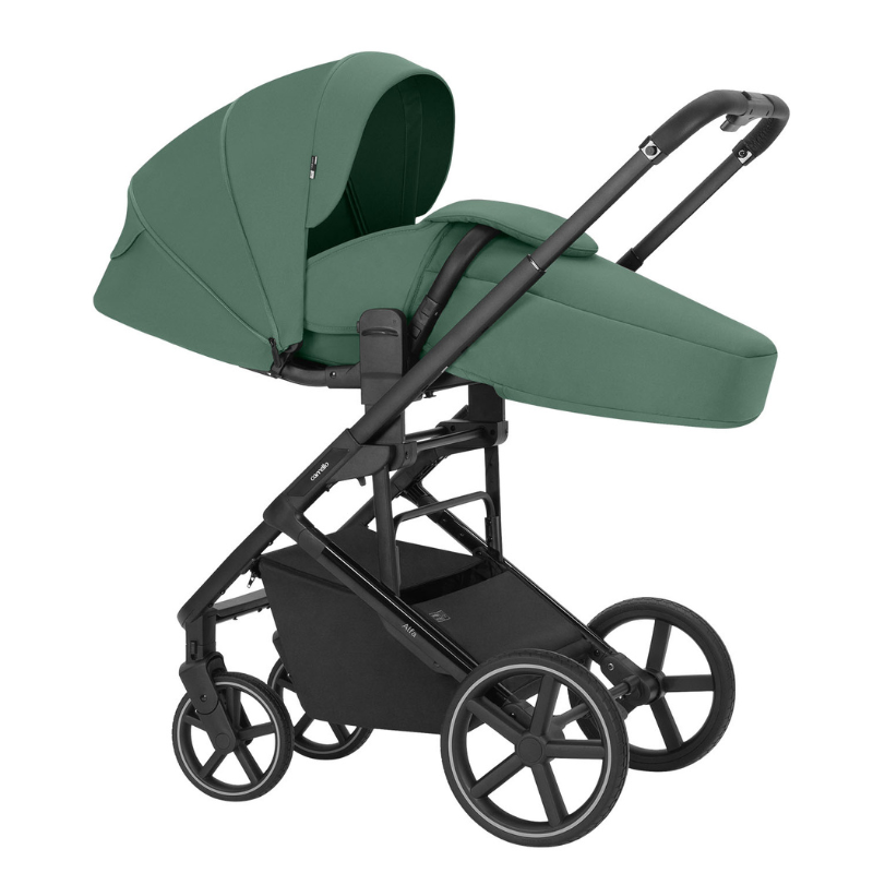 Vežimėlis 2in1 Carrello Alfa Meadow Green
