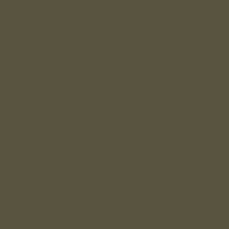 Vežimėlis Carrello Bravo Bravo M/Lite CRL-5529 Flax Green