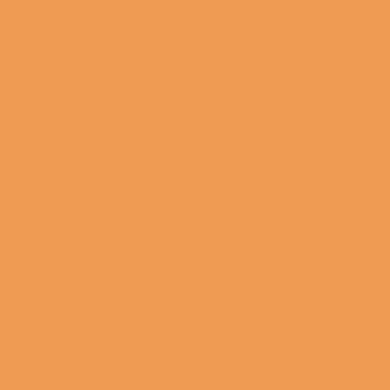 Vežimėlis CARRELLO Bravo CRL-8512 Amber Orange