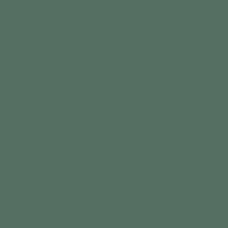 Vežimėlis CARRELLO Bravo CRL-8512 Spring Green