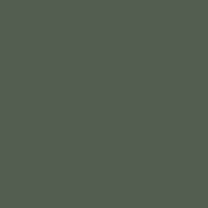 Vežimėlis CARRELLO Nova CRL-5524 Aspen Green
