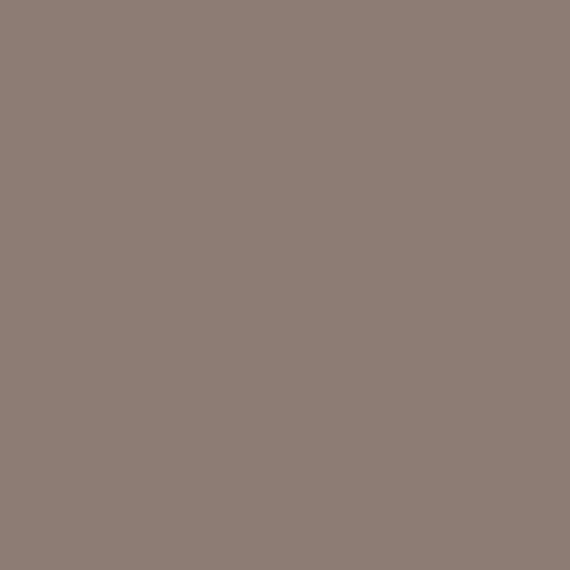 Vežimėlis 2in1 CARRELLO Vector CRL-6552 Cashmere Beige