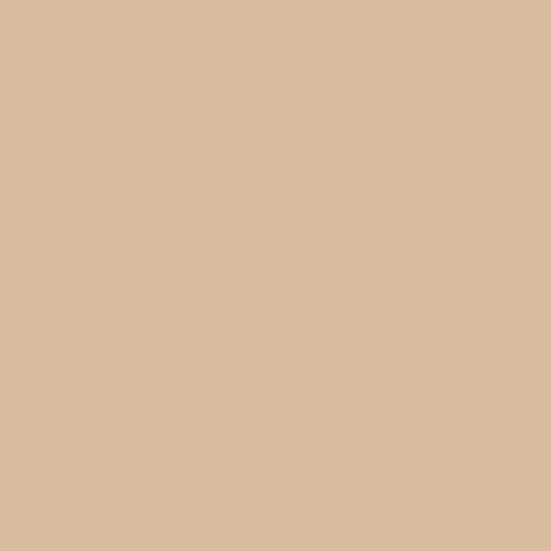 Vežimėlis CARRELLO Atom S CRL-5526 Down Beige