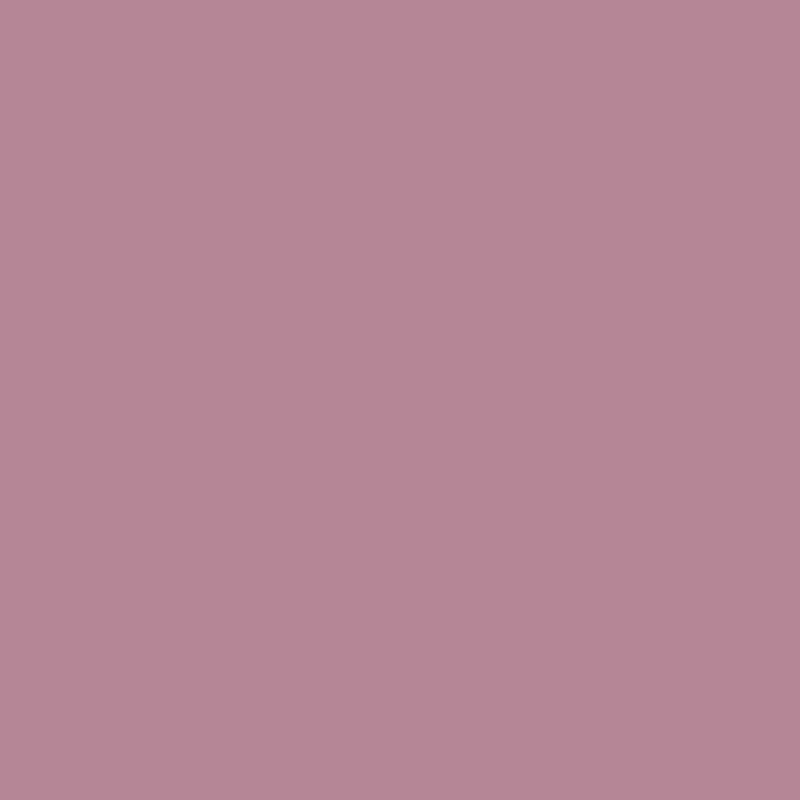 Vežimėlis Carrello Delta CRL-5517 Rose Pink