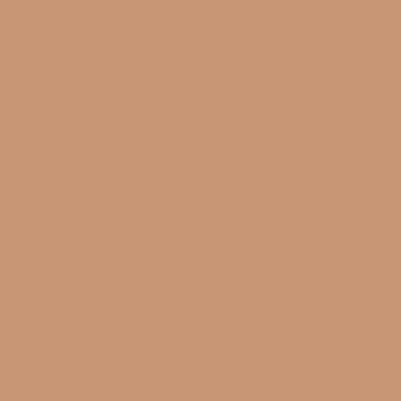 Vežimėlis Carrello Forza CRL-5535 Clam Beige